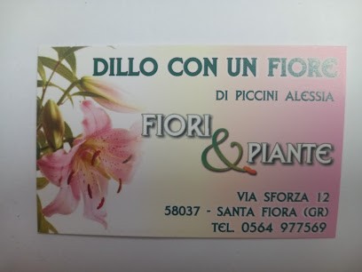 Dillo Con Un Fiore, Fiorista a Santa Fiora