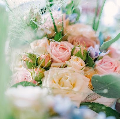 La Primavera Di Barbara, Fiorista a Voghera