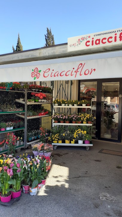 Ciacciflor, Fiorista a Grosseto