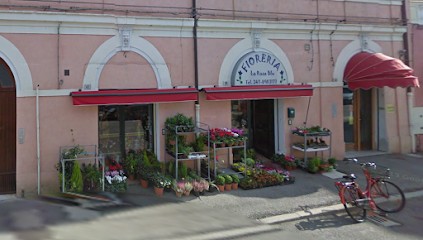 LA ROSA BLU | Fiori e Piante | Fiorista | Portomaggiore, Fiorista a Portomaggiore
