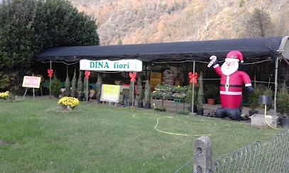 Az.Agr. Dina Fiori 2 Di Agnesina Corinna, Fiorista a Mergozzo