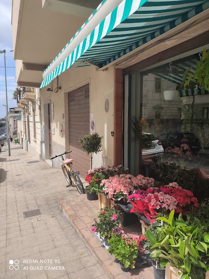 Il Giardino Della Casa Del Sole Di Nocerino Giovanni., Fiorista a Reggio di Calabria