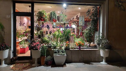 Nodale Rosaria Udine, Fiorista a Udine