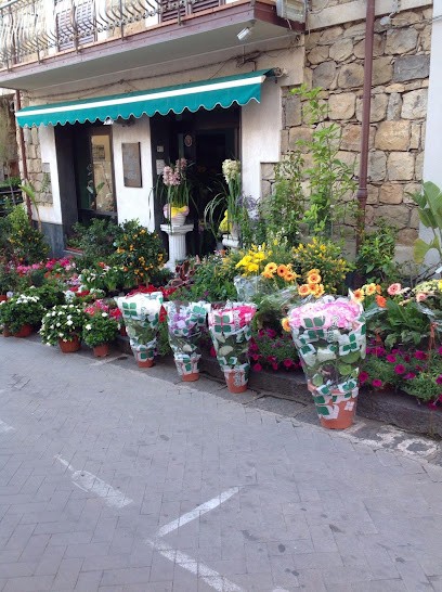 Il Giardino Dei Fiori, Fiorista a Sant'Agata di Militello
