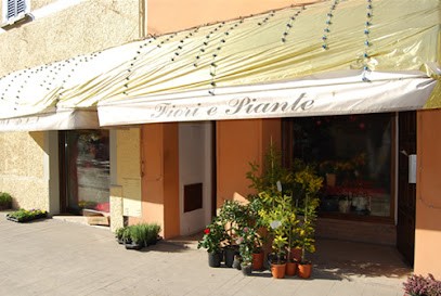 'Il Petalo' Di Fratini Anna Maria, Fiorista a Pergola