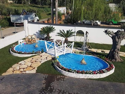 Flower Garden Mancini Srl, Fiorista a Ladispoli