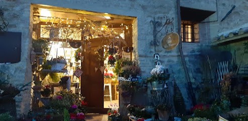 La Macina Di Annalisa Biagini, Fiorista a Marsciano