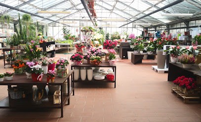 Floricoltura Osvaldo Gabella Soc. Agricola, Fiorista a Gambara