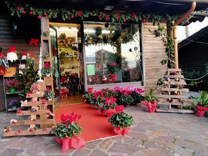 Lo Chalet Del Fiore Di Marzia Cocozzoli, Fiorista a Rocca di Papa