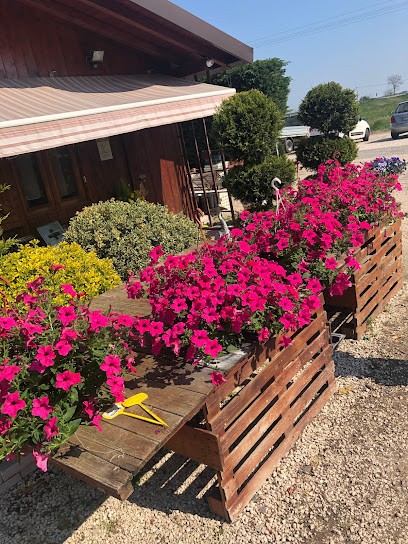 Le Meraviglie, Fiorista a Comacchio