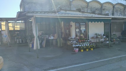 L'Angolo Fiorito, Fiorista a Pietrasanta