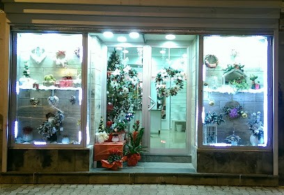 Orchidea Fiori E Piante, Fiorista a Casandrino