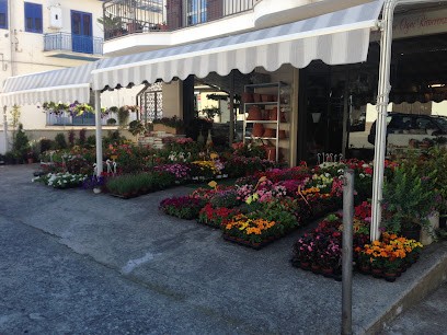 Fiori e Piante Garden Flowers, Fiorista a Senise