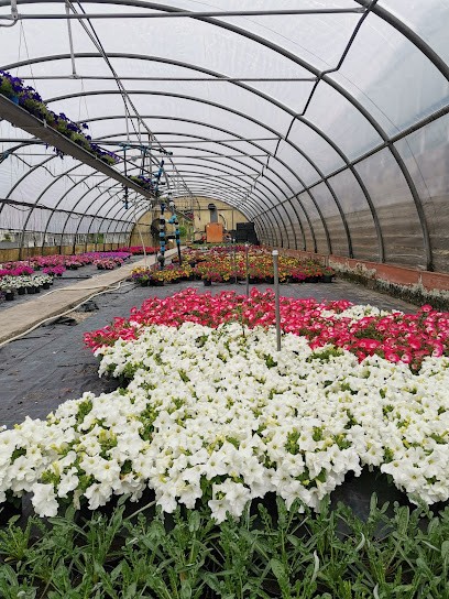 Perucchini Mario, Fiorista a Leggiuno