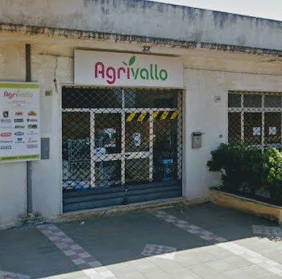 Agrivallo Di Alessandro Alagna, Fiorista a Mazara del Vallo