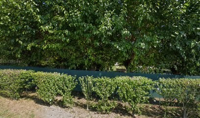 Zanardi Loretta Floricoltura, Fiorista a Cenate Sotto