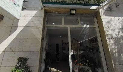 Fioridea, Fiorista a Mola di Bari