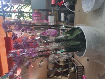 Piante E Fiori Di Nino - Piazza Santiago Del Cile, Fiorista a Roma