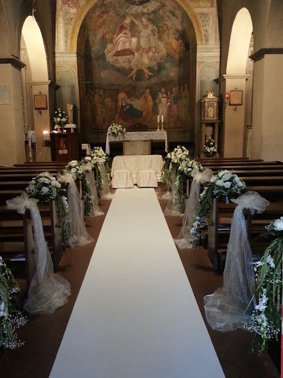 La Fioreria Di Pittis, Fiorista a Fonte Nuova