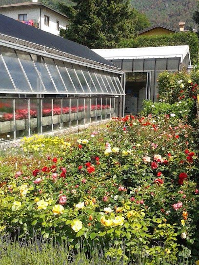 La Serra Pietro Calegari, Fiorista a Clusone
