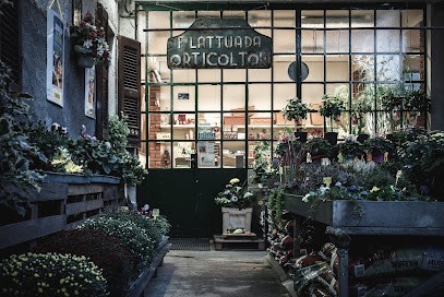 Fratelli Lattuada Di Marialuisa Cattaneo, Fiorista a Saronno