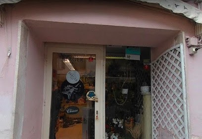 Il Fiore - Piante e Fiori, Fiorista a Pitigliano