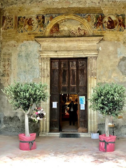 Il Linguaggio Dei Fiori Di Francesca Rossi, Fiorista a Forlì