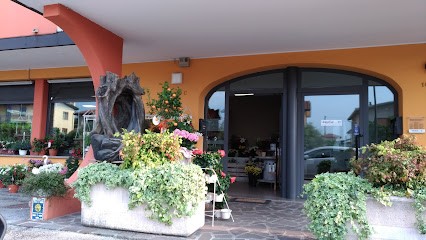 Fioreria Passionflower di Pamela Pintonello, Fiorista a Campodarsego