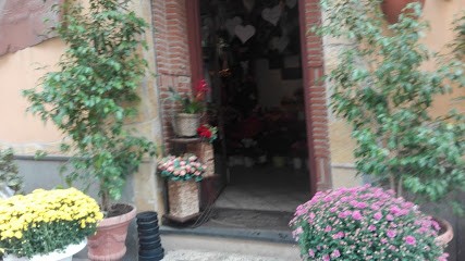 Antica Fioreria Di Ciro Di Vico, Fiorista a Maddaloni