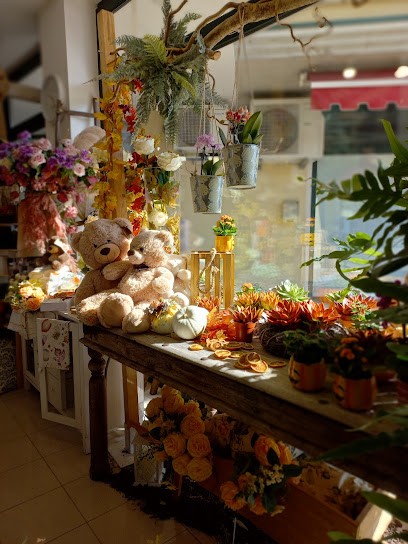 Fioreria Lo Gnomo, Fiorista a Musile di Piave