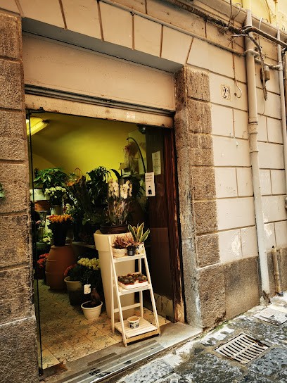 Riccio Fiori Snc, Fiorista a Napoli