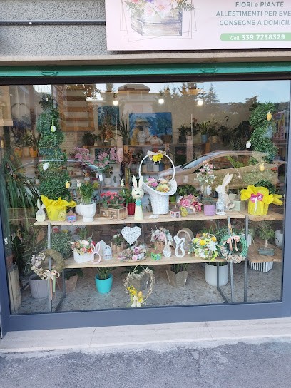 Esho Funi Floral Designer, Fiorista a Pescara