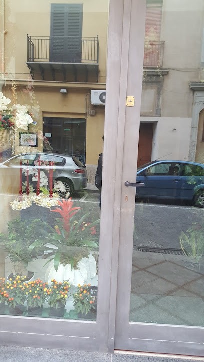 Oasis Piante E Fiori, Fiorista a Termini Imerese