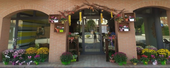 Stella Alpina Di Bassan Giada, Fiorista a Villaverla