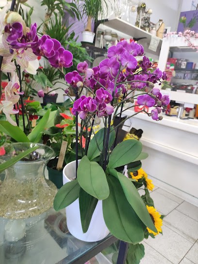 Bottoni Giovanni, Fiorista a Fermo