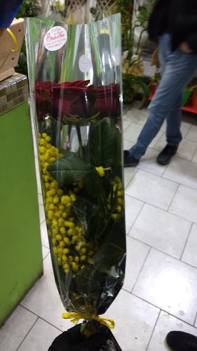 Piante E Fiori Di Flore In Flore, Fiorista a Gravina di Catania