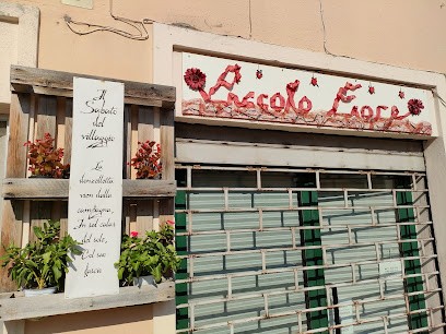 Piccolo Fiore, Fiorista a Recanati