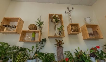 Di Sana Pianta, Fiorista a Grezzana