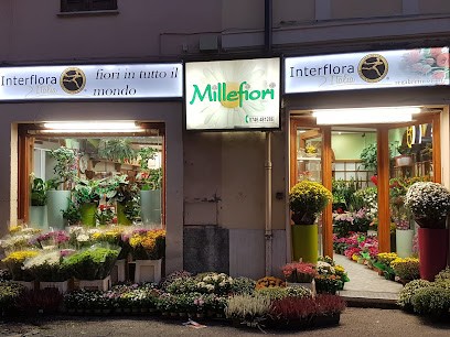 Millefiori, Fiorista a Rieti