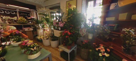 M.O.D. Garlasco, Fiorista a Garlasco