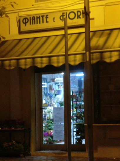 Plants And Flowers, Fiorista a Scafa