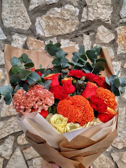 La Florantonia, Fiorista a Afragola