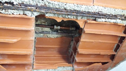 Damiani Riccardo, Fiorista a Livorno