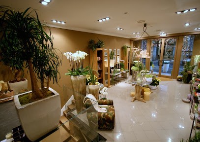 Laurus Piacenza, Fiorista a Piacenza