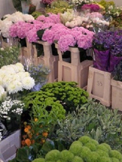 Stambe' Caterina, Fiorista a Torino