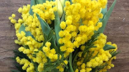 Fioreria La Ghirlanda Di Cantoni Caterina, Fiorista a Olgiate Comasco