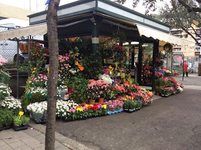 Cristina Fiori E Piante, Fiorista a Genova