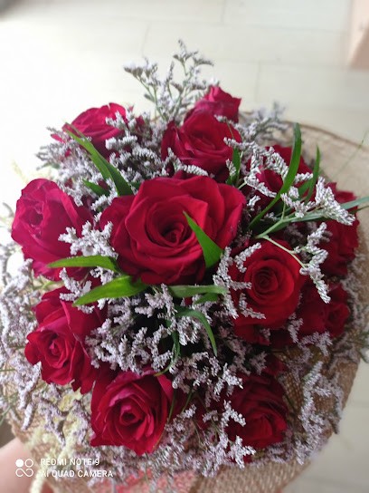 Stella Alpina Di Della Chiesa Maria, Fiorista a Ruvo del Monte