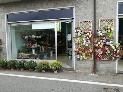 La Mimosa Fiori, Fiorista a Giaveno