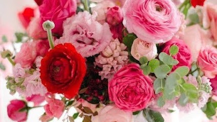 Dimensione Fiore, Fiorista a Udine